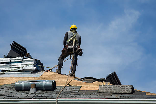 Professional Roof Repair technician working in Columbia Falls, MT
